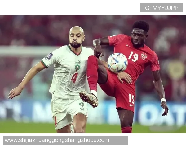 加拿大足球知名球星排名解析与发展趋势分析